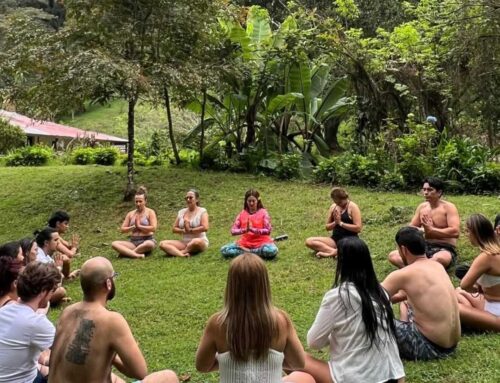 Yoga y naturaleza: Una conexión ancestral para el bienestar integral